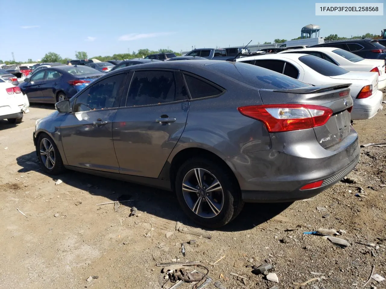 2014 Ford Focus Se VIN: 1FADP3F20EL258568 Lot: 79954884