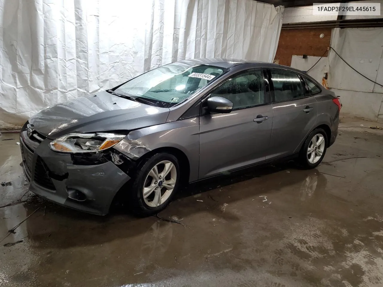 2014 Ford Focus Se VIN: 1FADP3F29EL445615 Lot: 80331544