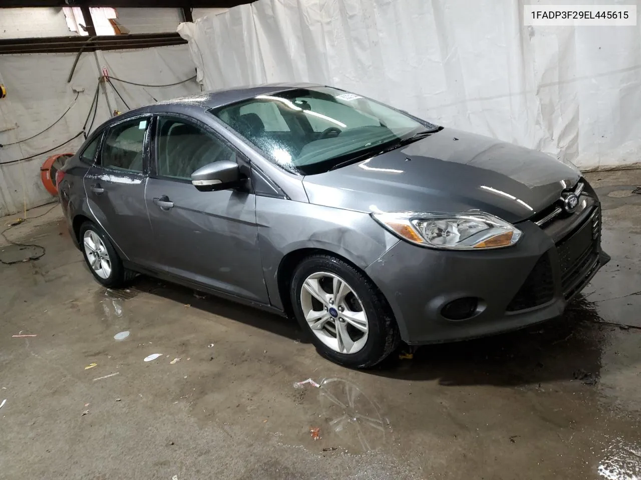 2014 Ford Focus Se VIN: 1FADP3F29EL445615 Lot: 80331544