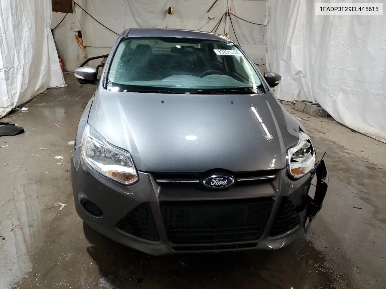 2014 Ford Focus Se VIN: 1FADP3F29EL445615 Lot: 80331544