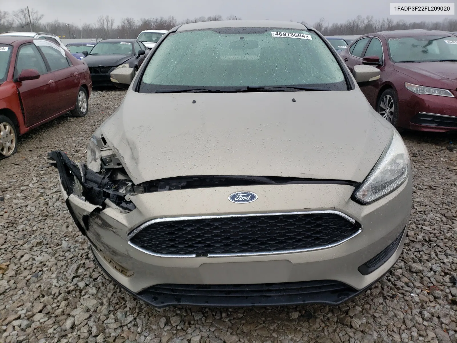 2015 Ford Focus Se VIN: 1FADP3F22FL209020 Lot: 46973664