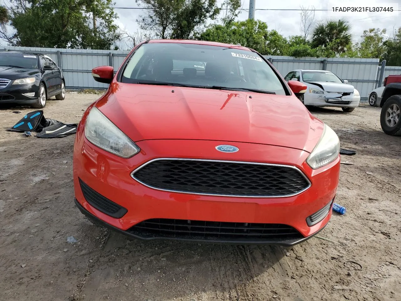 2015 Ford Focus Se VIN: 1FADP3K21FL307445 Lot: 73310604