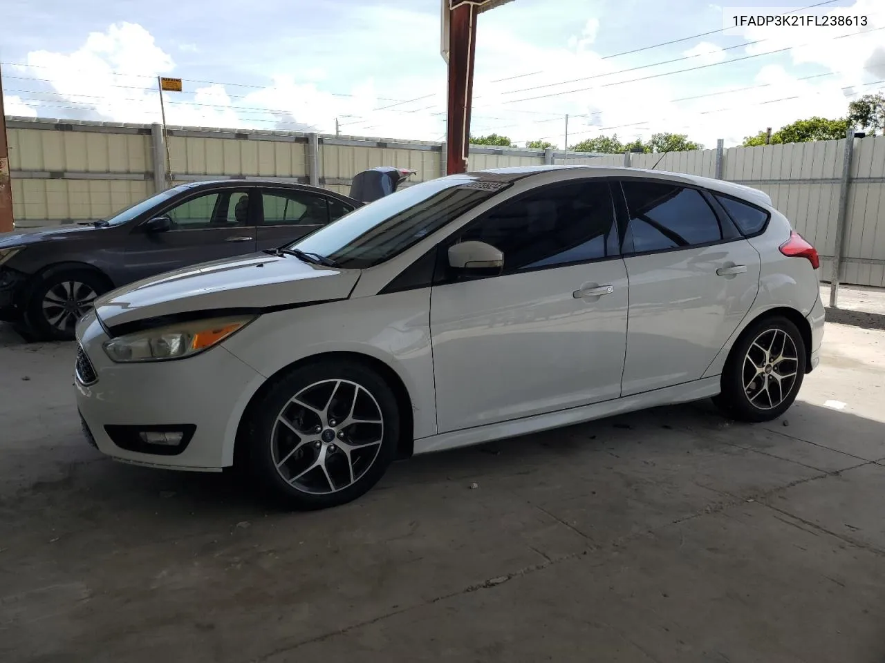 2015 Ford Focus Se VIN: 1FADP3K21FL238613 Lot: 73779924