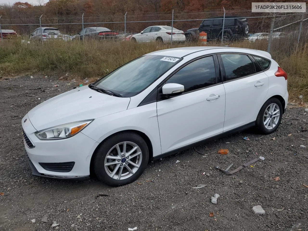 2015 Ford Focus Se VIN: 1FADP3K26FL315606 Lot: 79715474