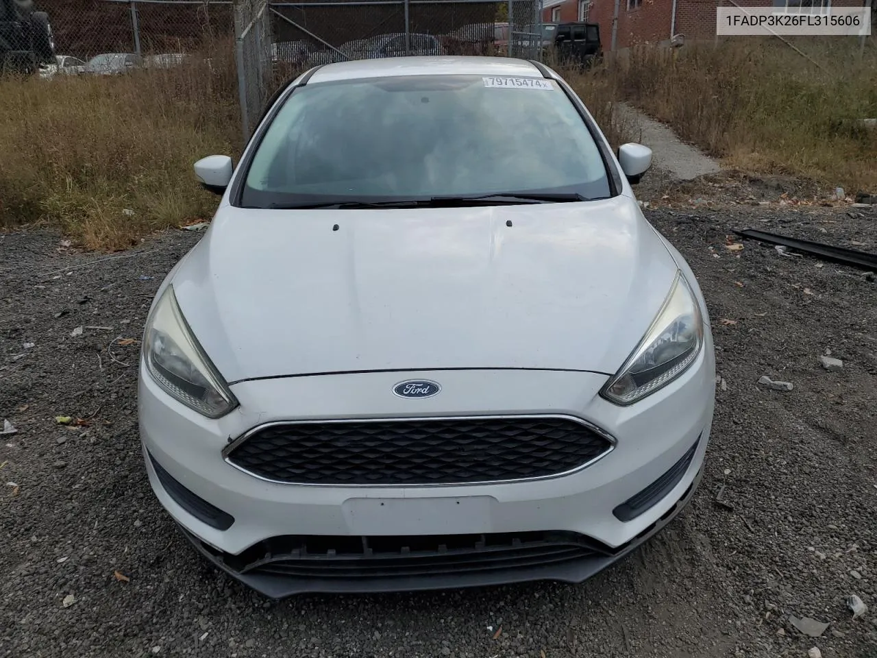 2015 Ford Focus Se VIN: 1FADP3K26FL315606 Lot: 79715474