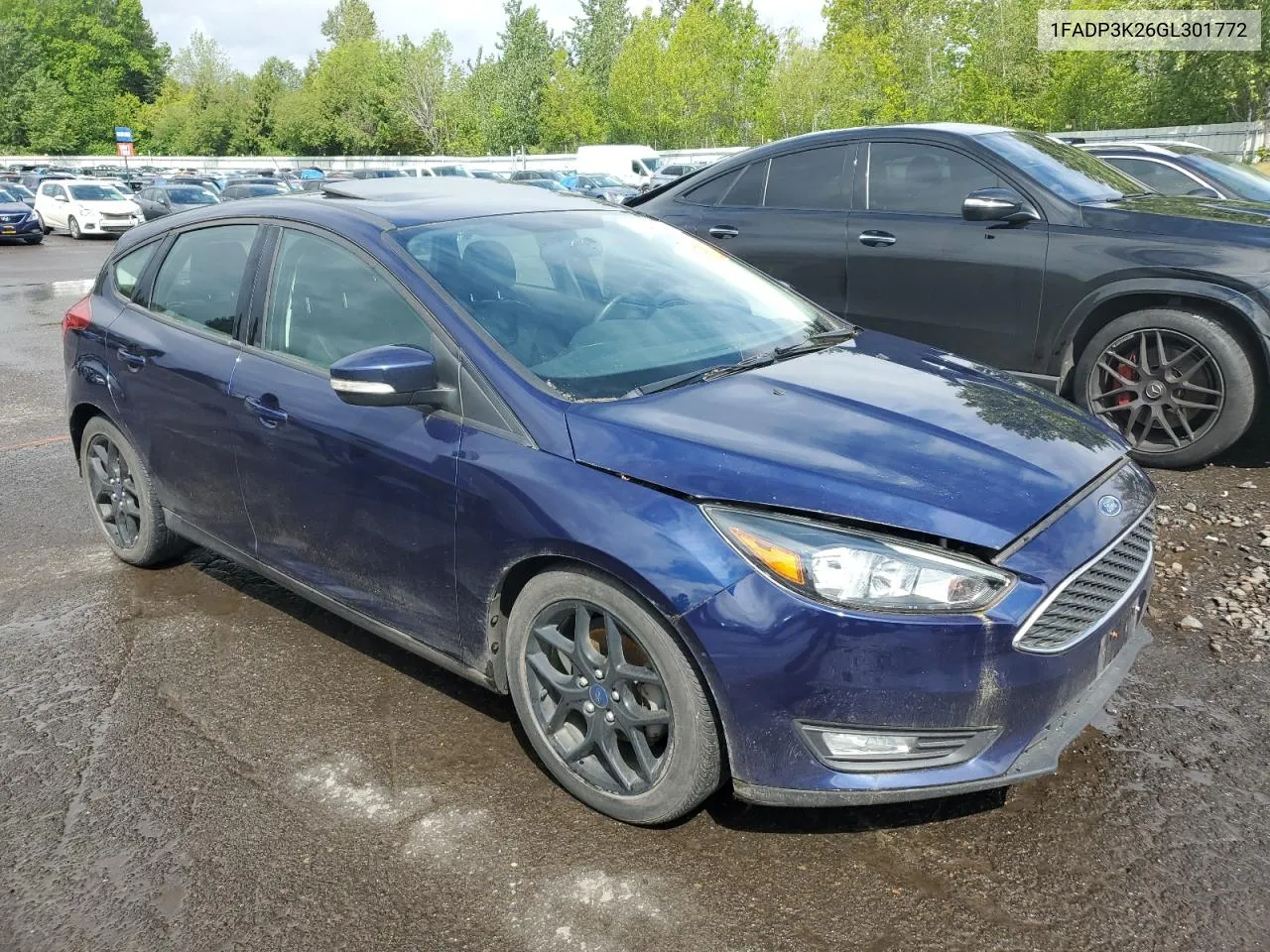 2016 Ford Focus Se VIN: 1FADP3K26GL301772 Lot: 53536054