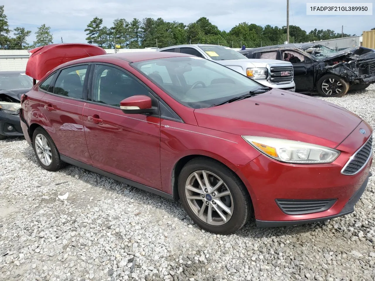 2016 Ford Focus Se VIN: 1FADP3F21GL389950 Lot: 66162314