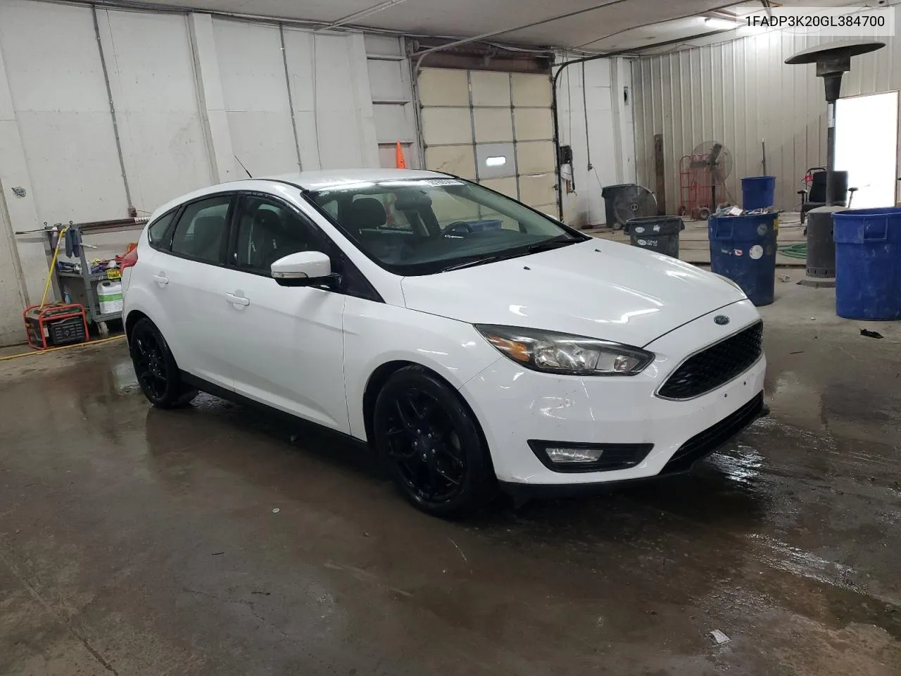 2016 Ford Focus Se VIN: 1FADP3K20GL384700 Lot: 68160544