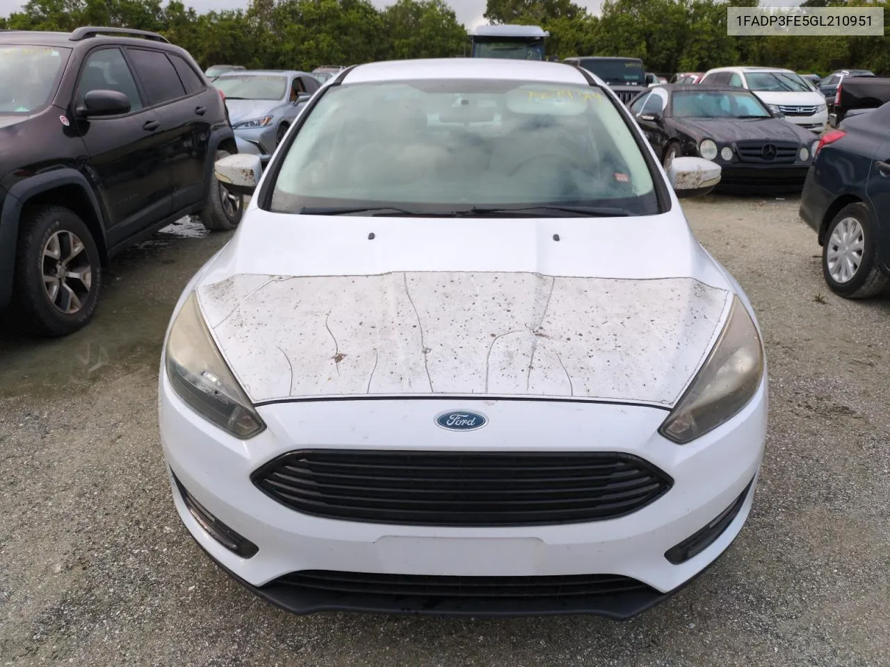 2016 Ford Focus Se VIN: 1FADP3FE5GL210951 Lot: 75079314