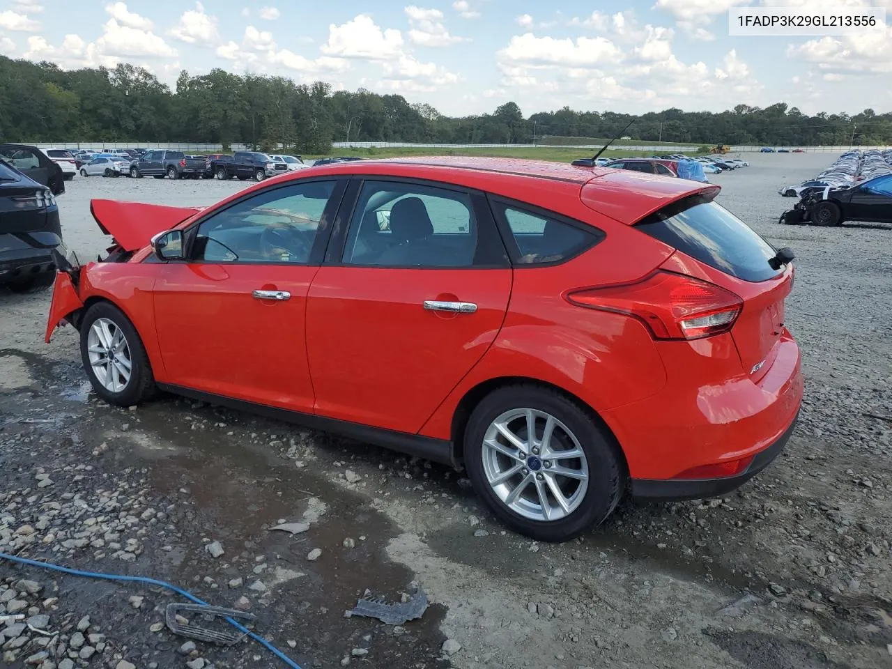 2016 Ford Focus Se VIN: 1FADP3K29GL213556 Lot: 75195544