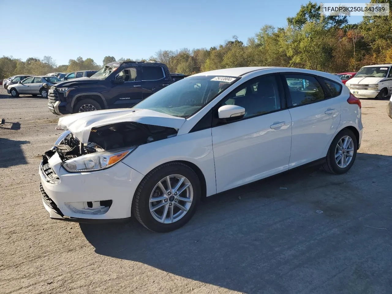 2016 Ford Focus Se VIN: 1FADP3K25GL343589 Lot: 75413804