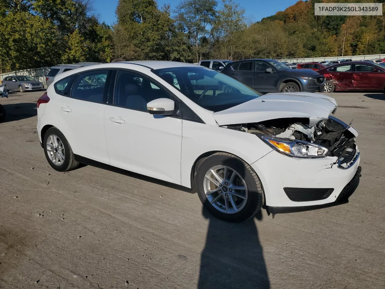 2016 Ford Focus Se VIN: 1FADP3K25GL343589 Lot: 75413804