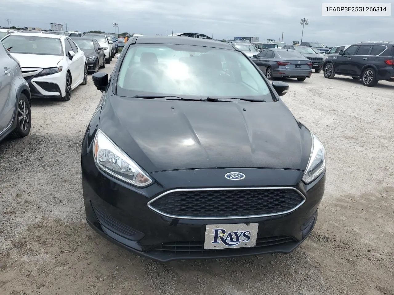 2016 Ford Focus Se VIN: 1FADP3F25GL266314 Lot: 76194444