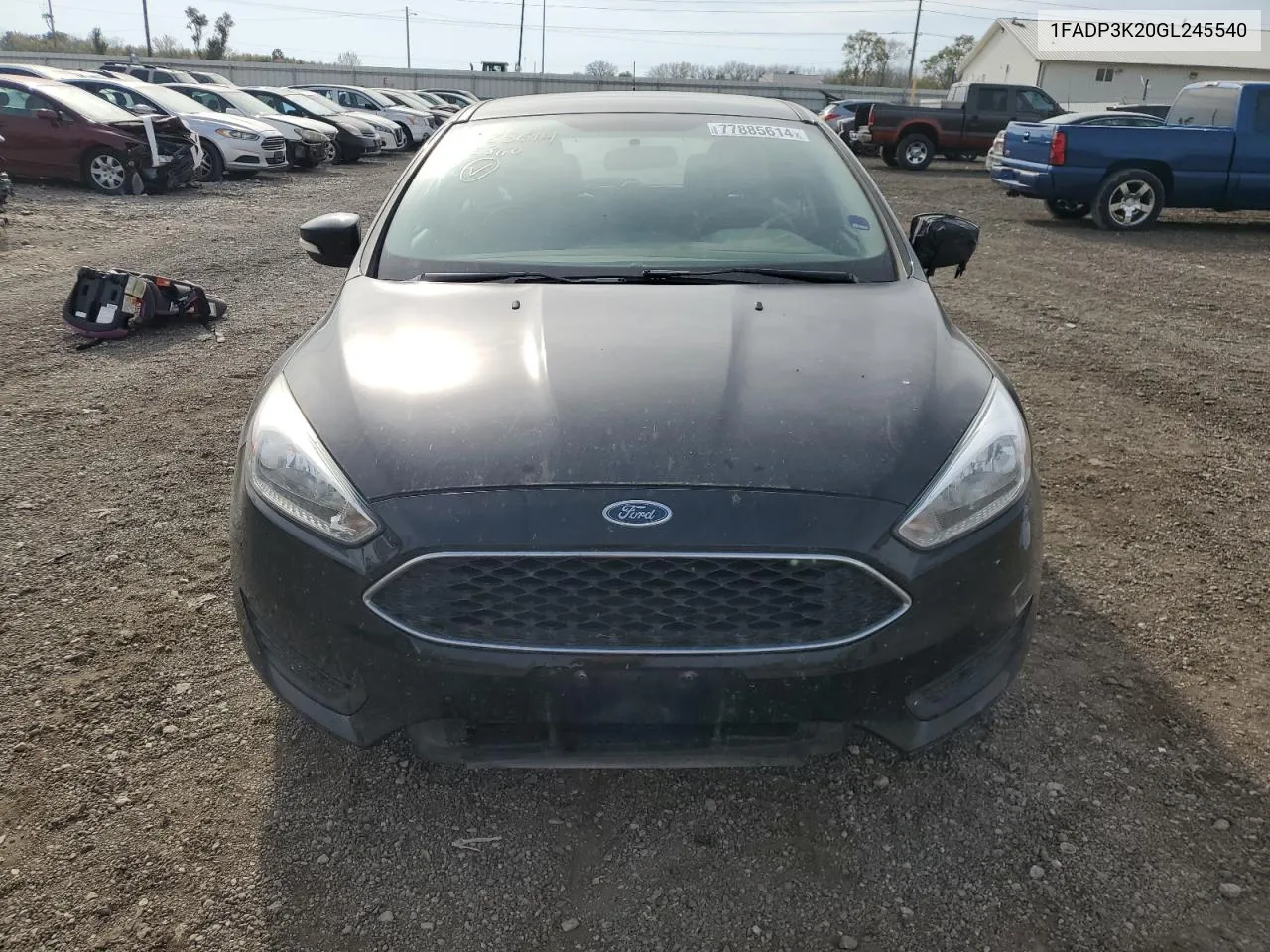 2016 Ford Focus Se VIN: 1FADP3K20GL245540 Lot: 77885614