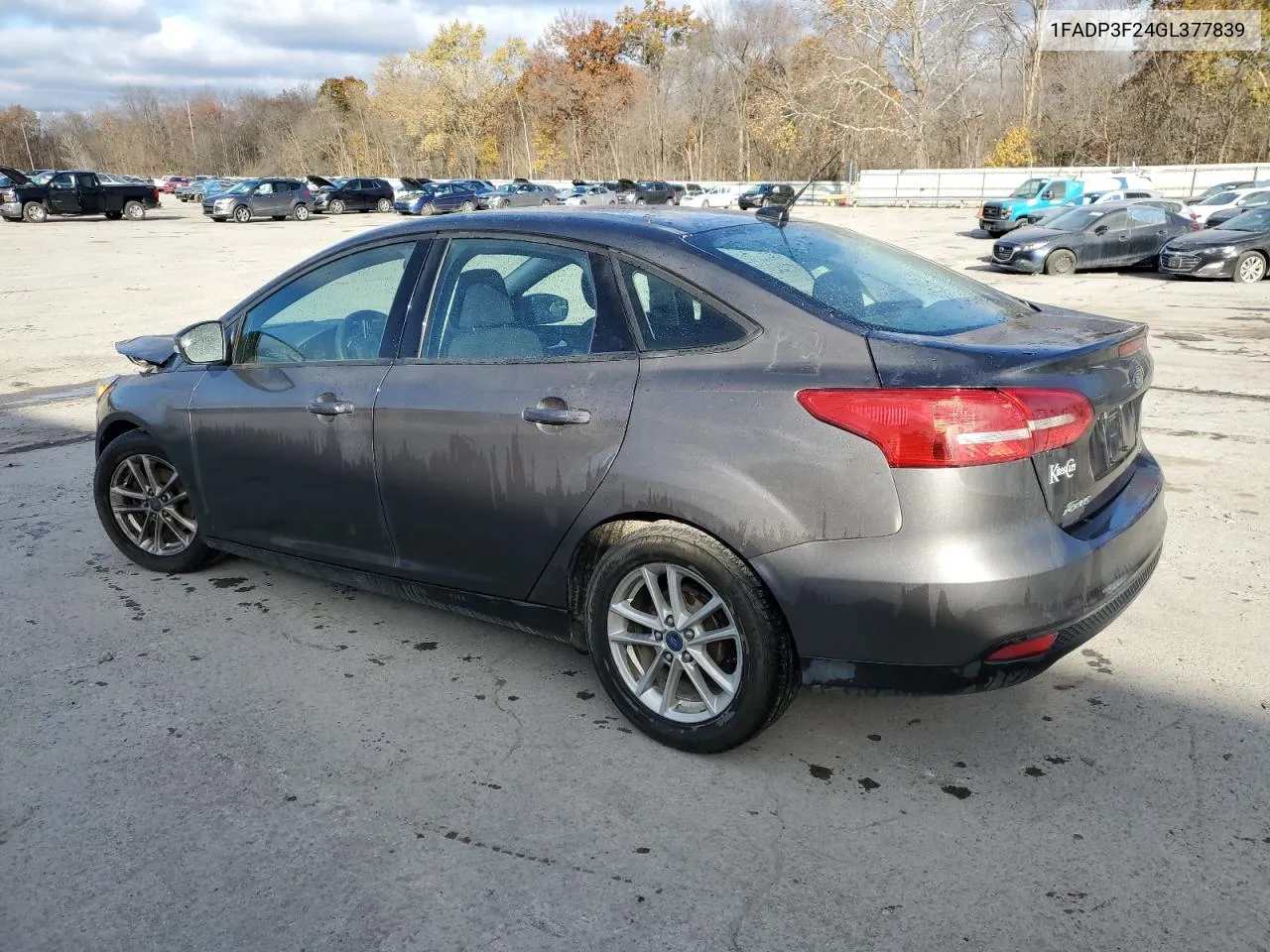 2016 Ford Focus Se VIN: 1FADP3F24GL377839 Lot: 78258724