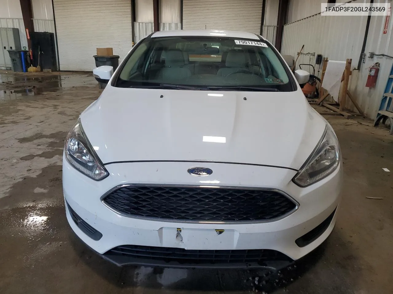 2016 Ford Focus Se VIN: 1FADP3F20GL243569 Lot: 79017144