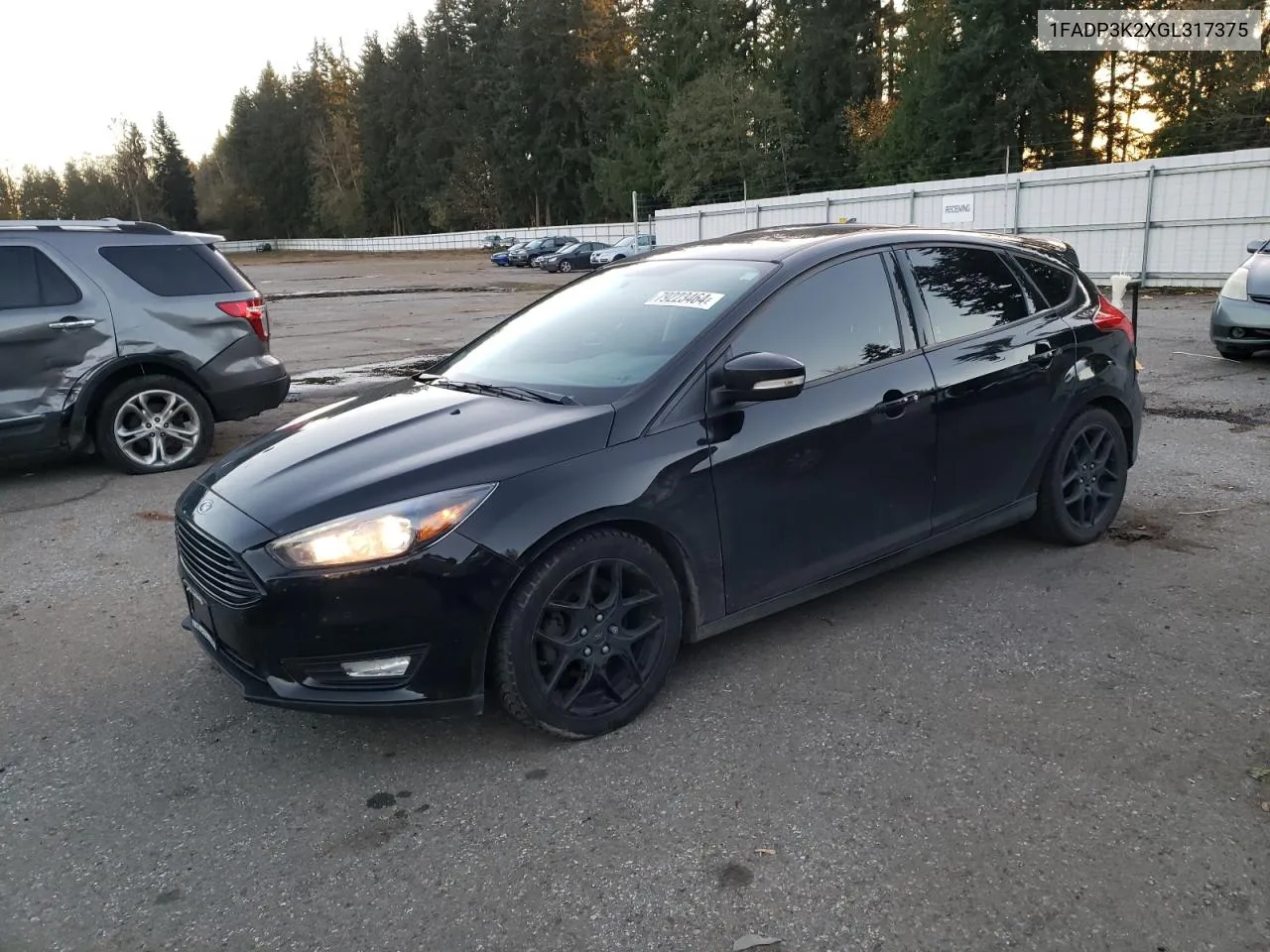 2016 Ford Focus Se VIN: 1FADP3K2XGL317375 Lot: 79223464