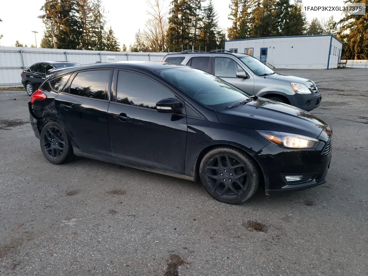 2016 Ford Focus Se VIN: 1FADP3K2XGL317375 Lot: 79223464