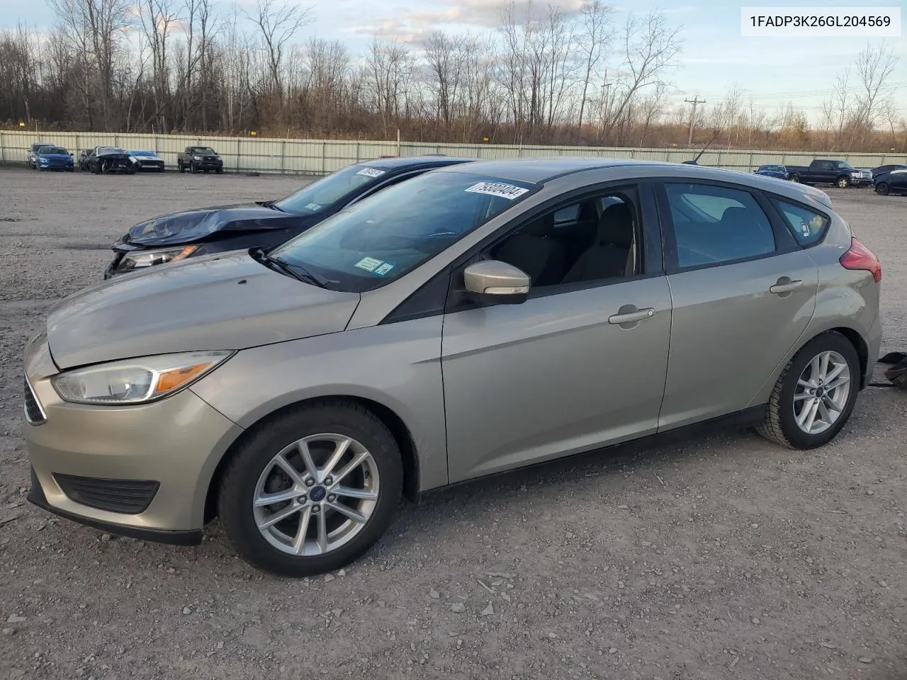 1FADP3K26GL204569 2016 Ford Focus Se