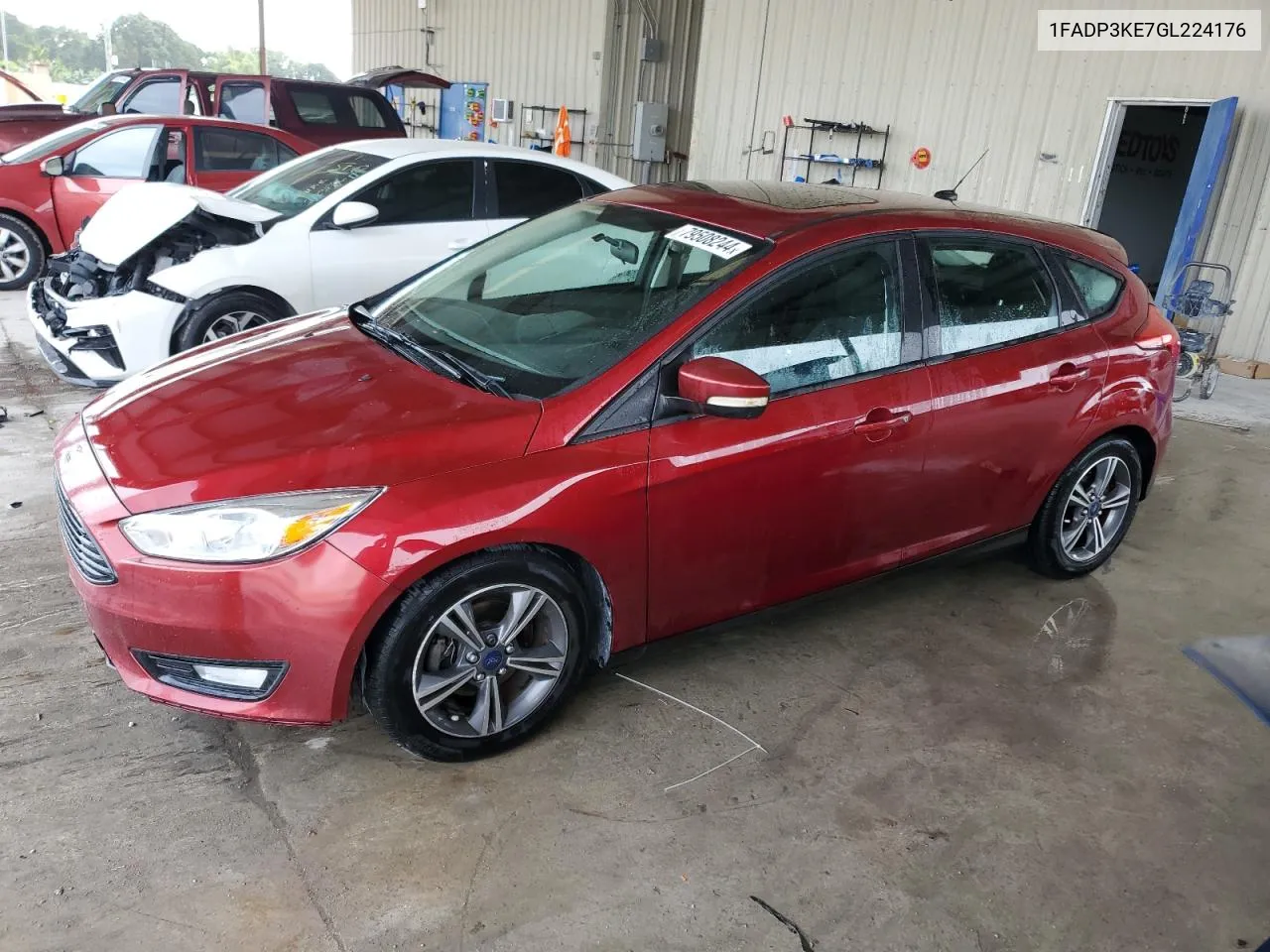 2016 Ford Focus Se VIN: 1FADP3KE7GL224176 Lot: 79508244