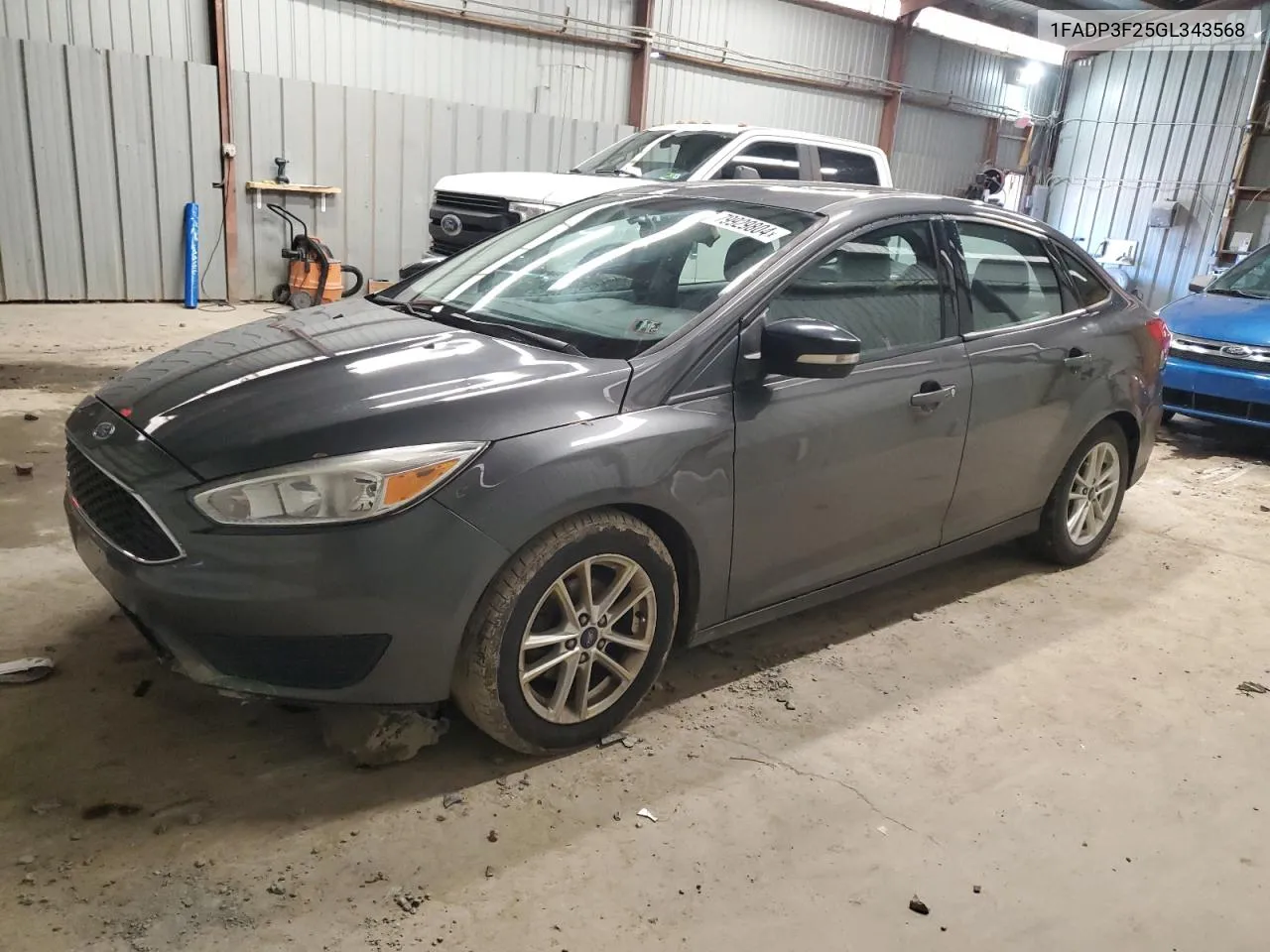 2016 Ford Focus Se VIN: 1FADP3F25GL343568 Lot: 79929804