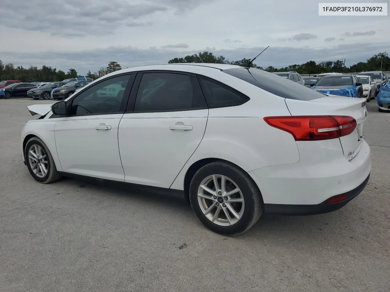 2016 Ford Focus Se VIN: 1FADP3F21GL376972 Lot: 81132534