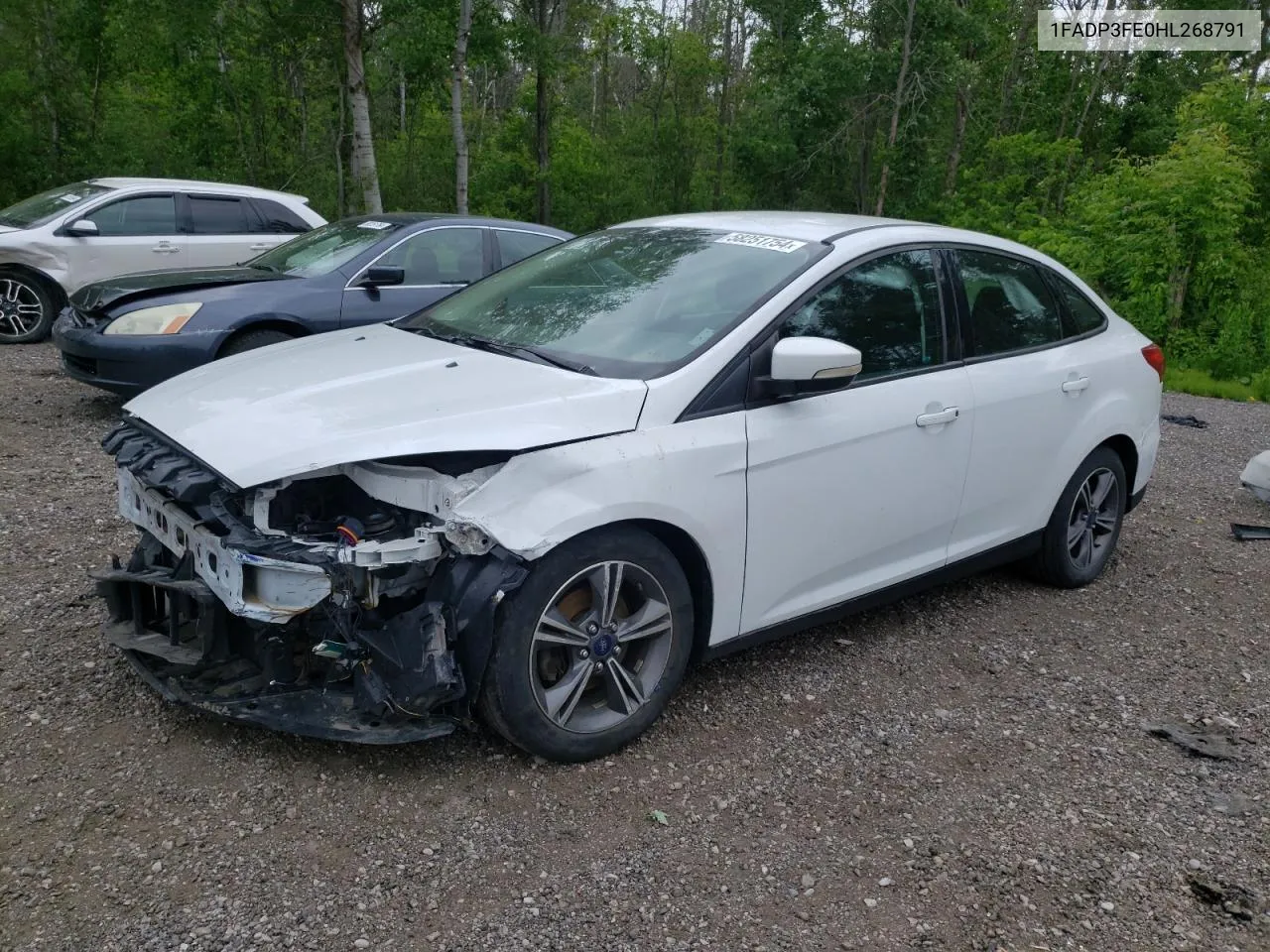 2017 Ford Focus Se VIN: 1FADP3FE0HL268791 Lot: 58251754