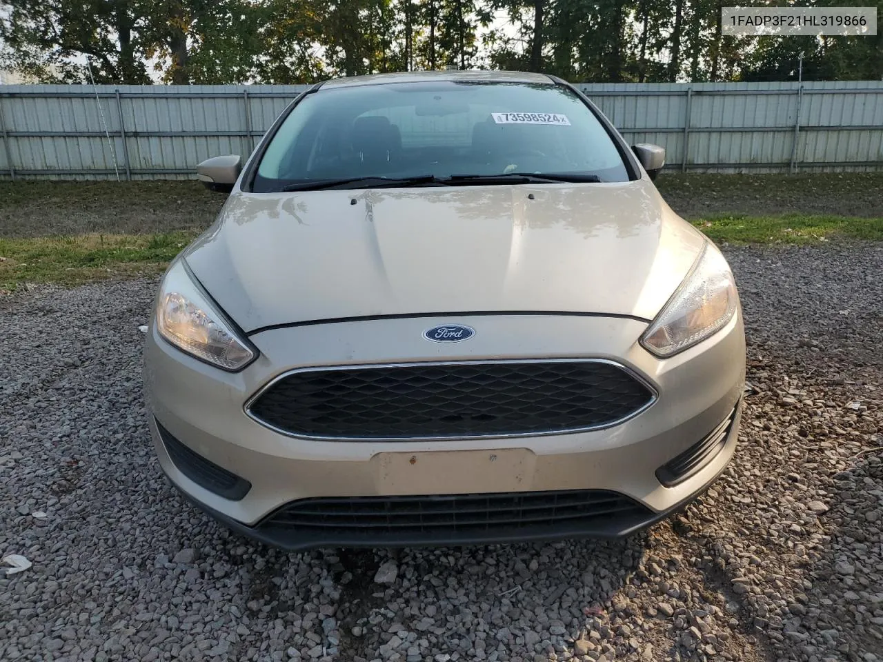 2017 Ford Focus Se VIN: 1FADP3F21HL319866 Lot: 73598524