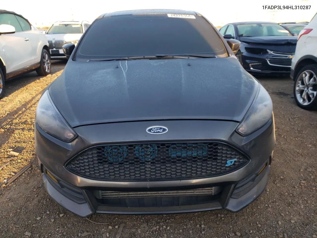 2017 Ford Focus St VIN: 1FADP3L94HL310287 Lot: 74728364