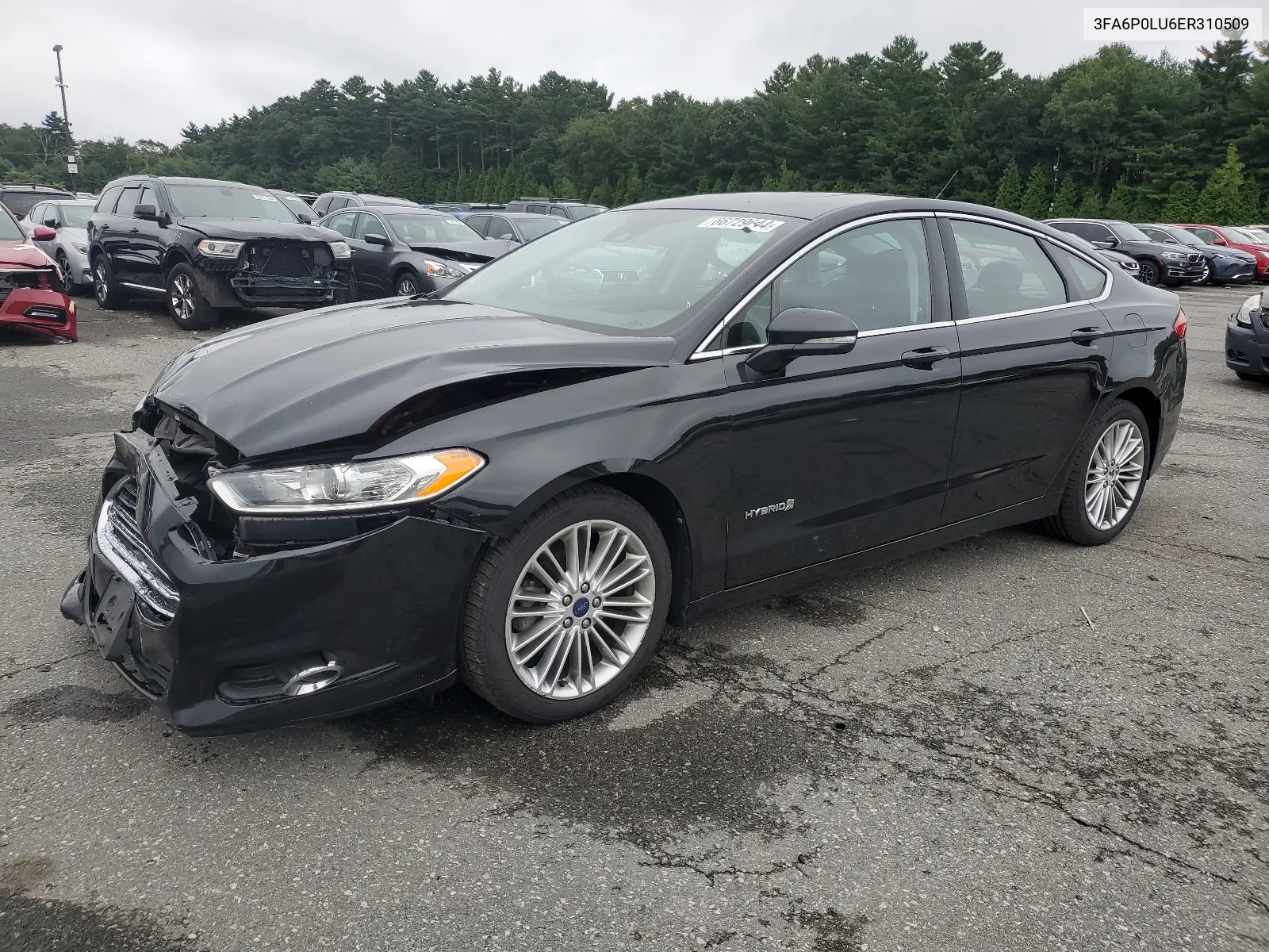 2014 Ford Fusion Se Hybrid VIN: 3FA6P0LU6ER310509 Lot: 66729644