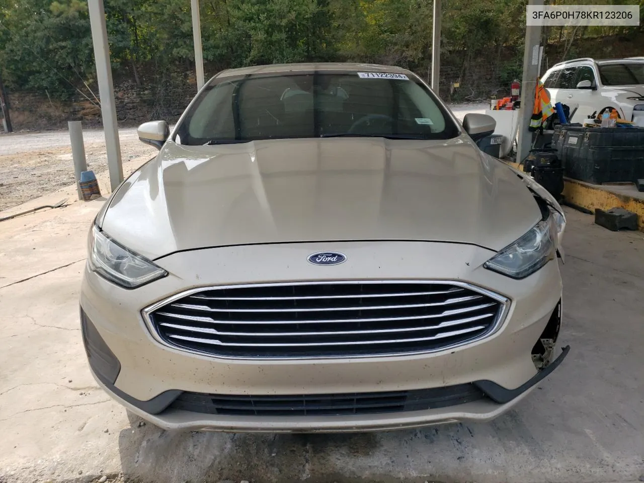 2019 Ford Fusion Se VIN: 3FA6P0H78KR123206 Lot: 71122394