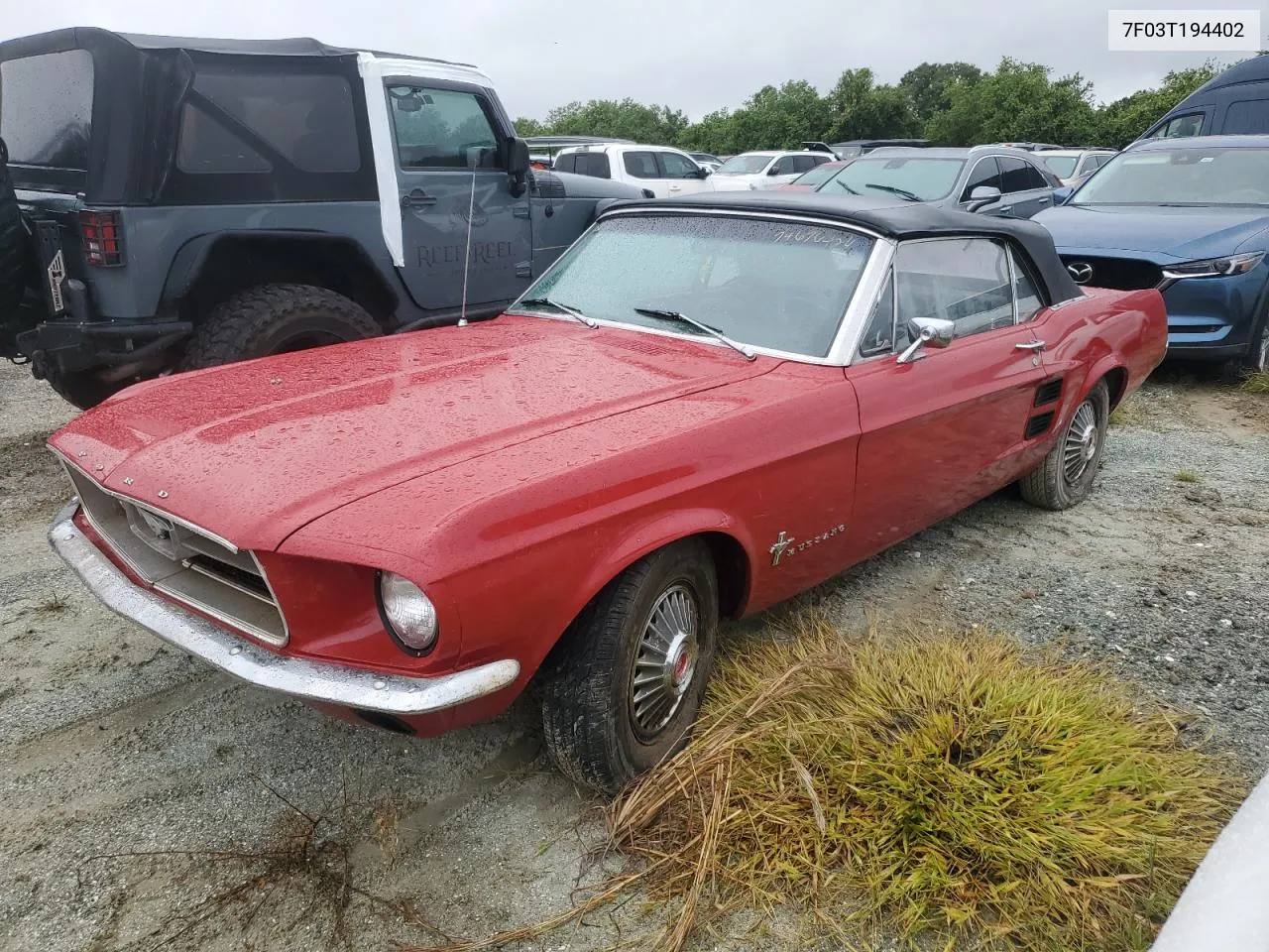 1967 Ford Mustang VIN: 7F03T194402 Lot: 74676424