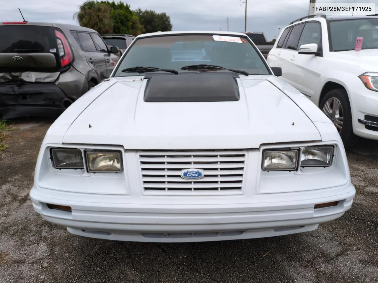 1984 Ford Mustang L VIN: 1FABP28M3EF171925 Lot: 74042794