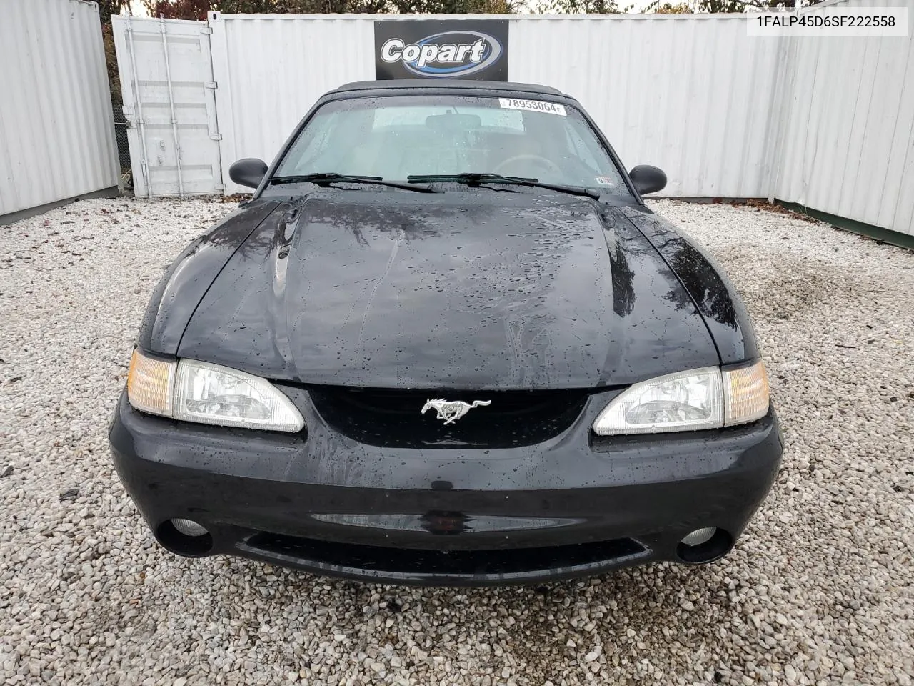 1995 Ford Mustang Cobra Svt VIN: 1FALP45D6SF222558 Lot: 78953064