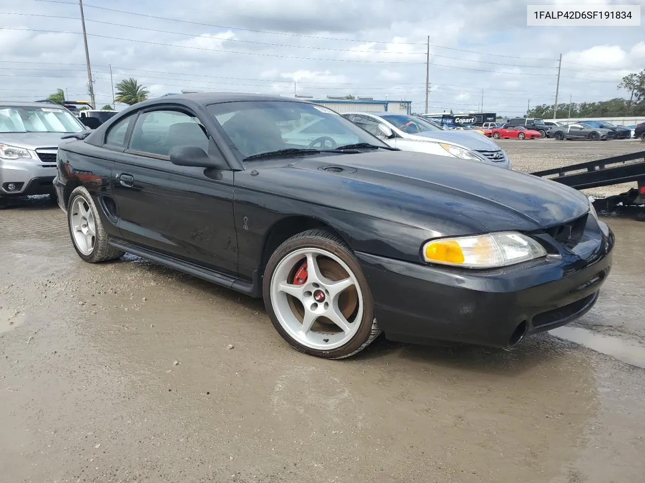 1995 Ford Mustang Cobra Svt VIN: 1FALP42D6SF191834 Lot: 79403974