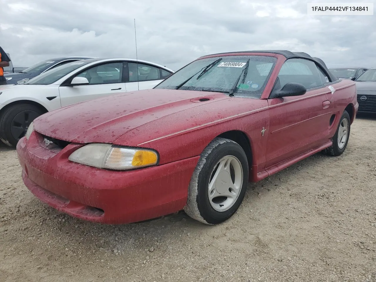 1997 Ford Mustang VIN: 1FALP4442VF134841 Lot: 74069804