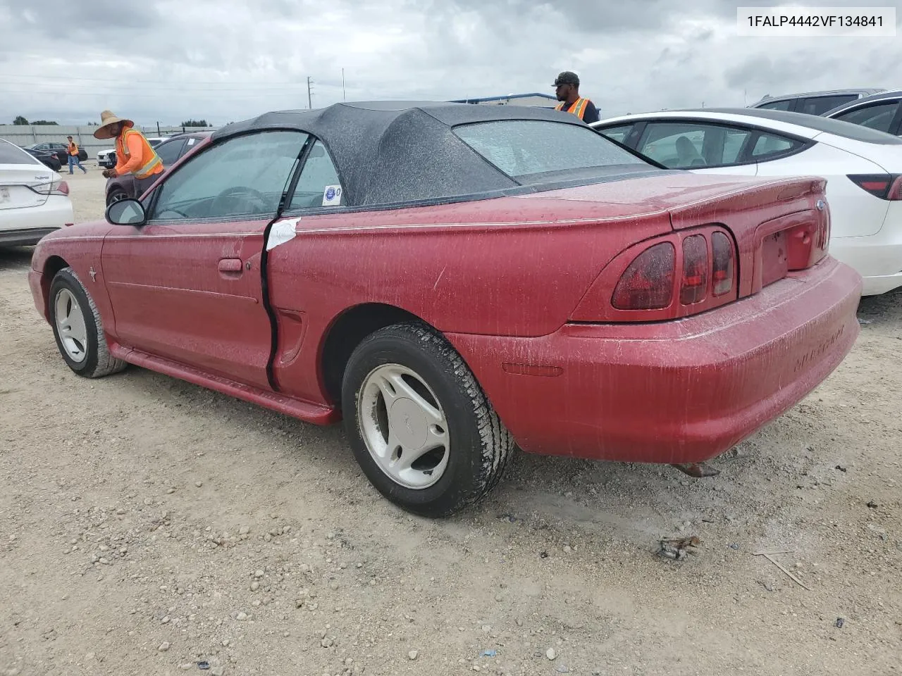 1997 Ford Mustang VIN: 1FALP4442VF134841 Lot: 74069804