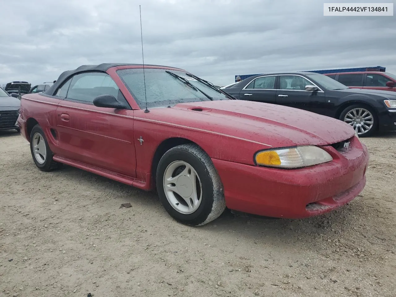 1997 Ford Mustang VIN: 1FALP4442VF134841 Lot: 74069804