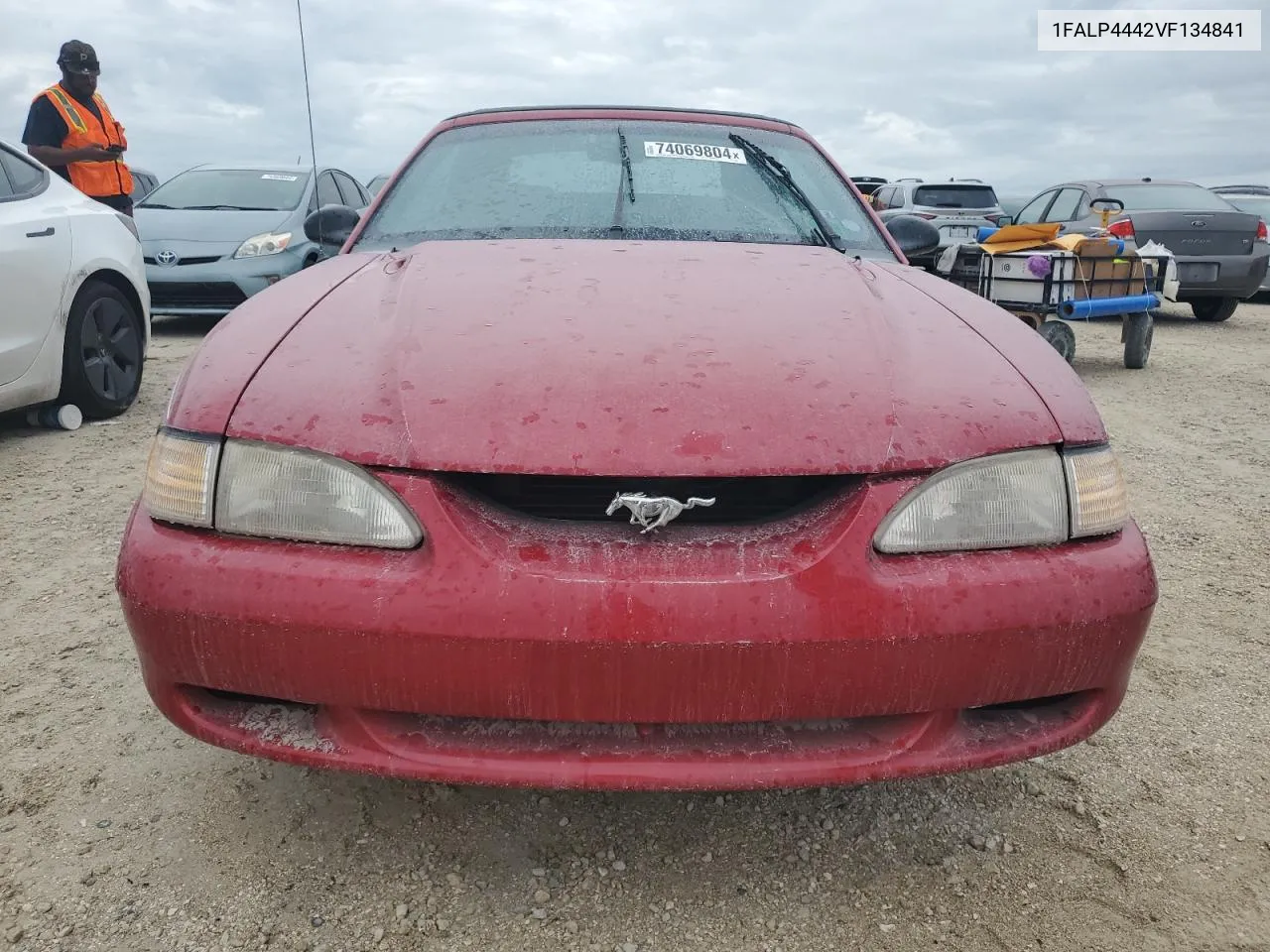 1997 Ford Mustang VIN: 1FALP4442VF134841 Lot: 74069804