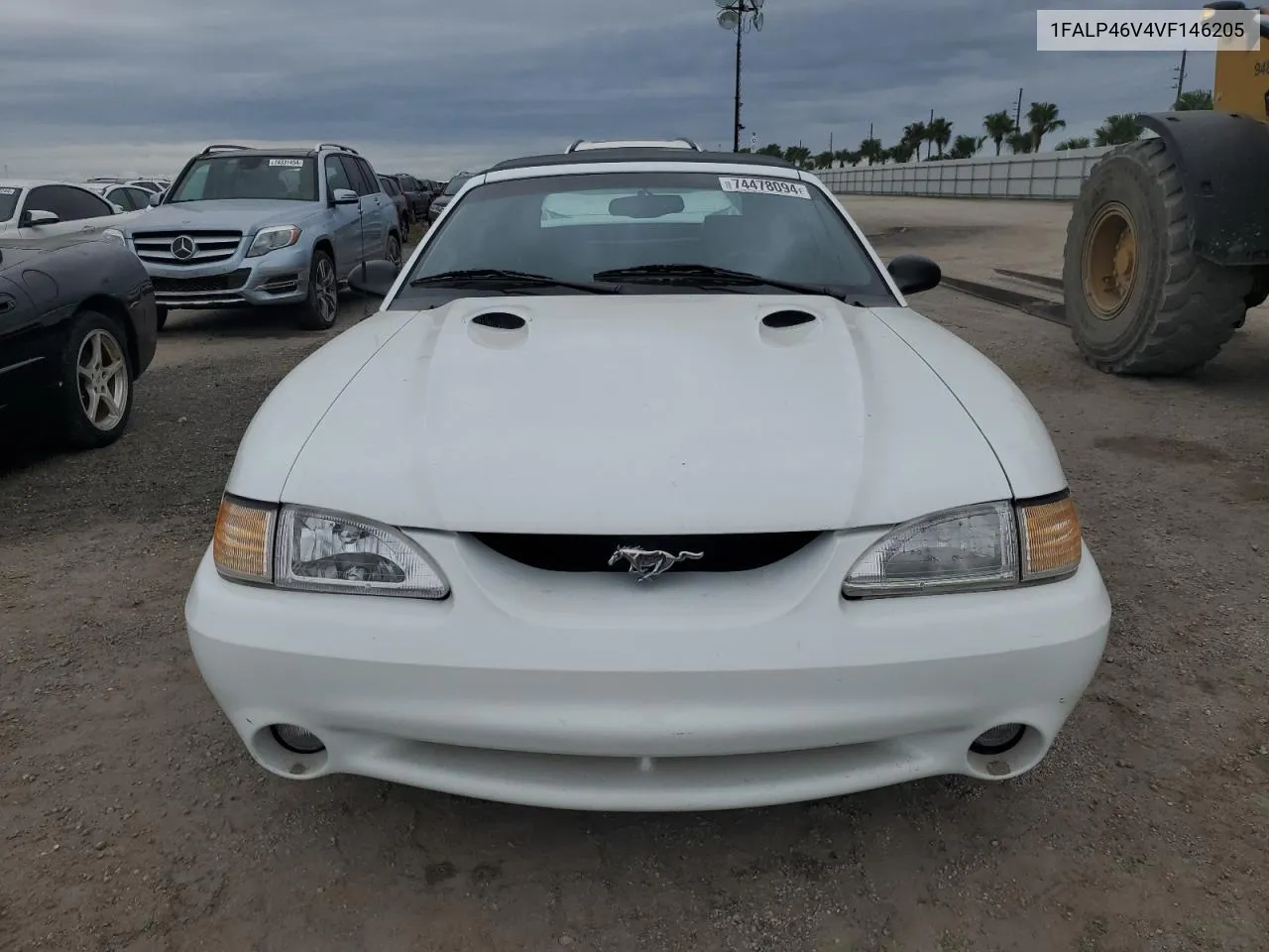 1997 Ford Mustang Cobra VIN: 1FALP46V4VF146205 Lot: 74478094