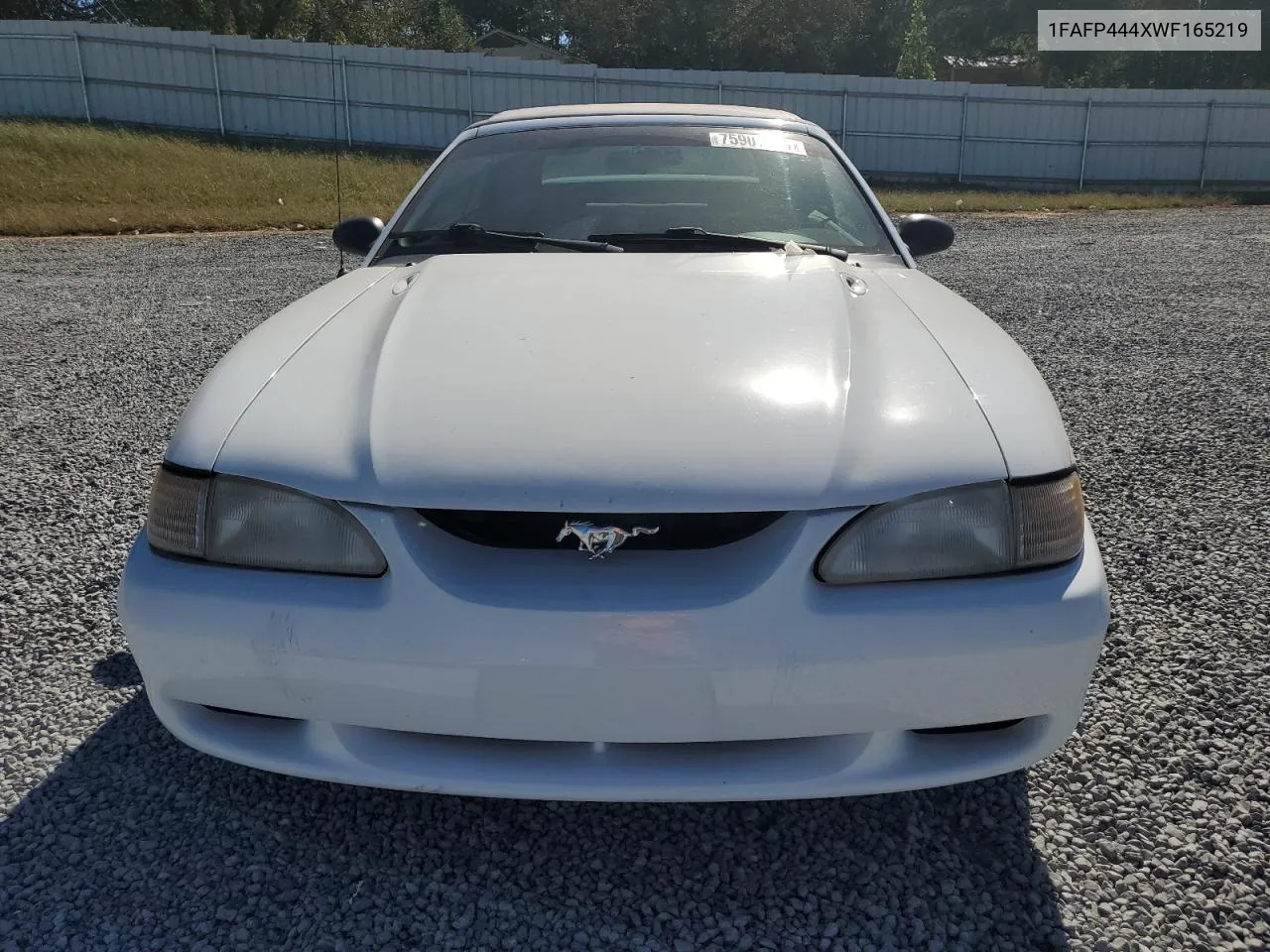 1998 Ford Mustang VIN: 1FAFP444XWF165219 Lot: 75907404