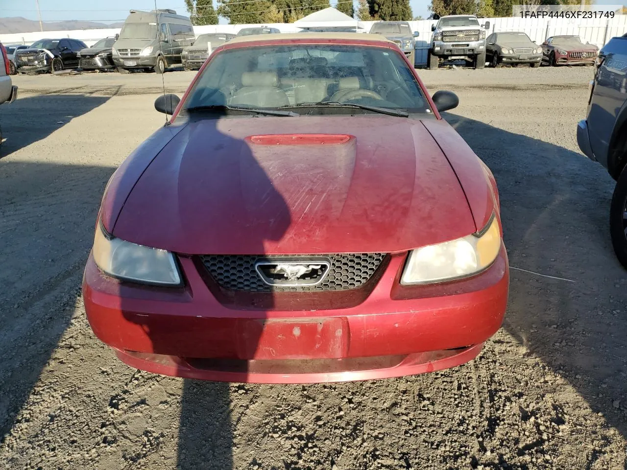 1999 Ford Mustang VIN: 1FAFP4446XF231749 Lot: 73981604