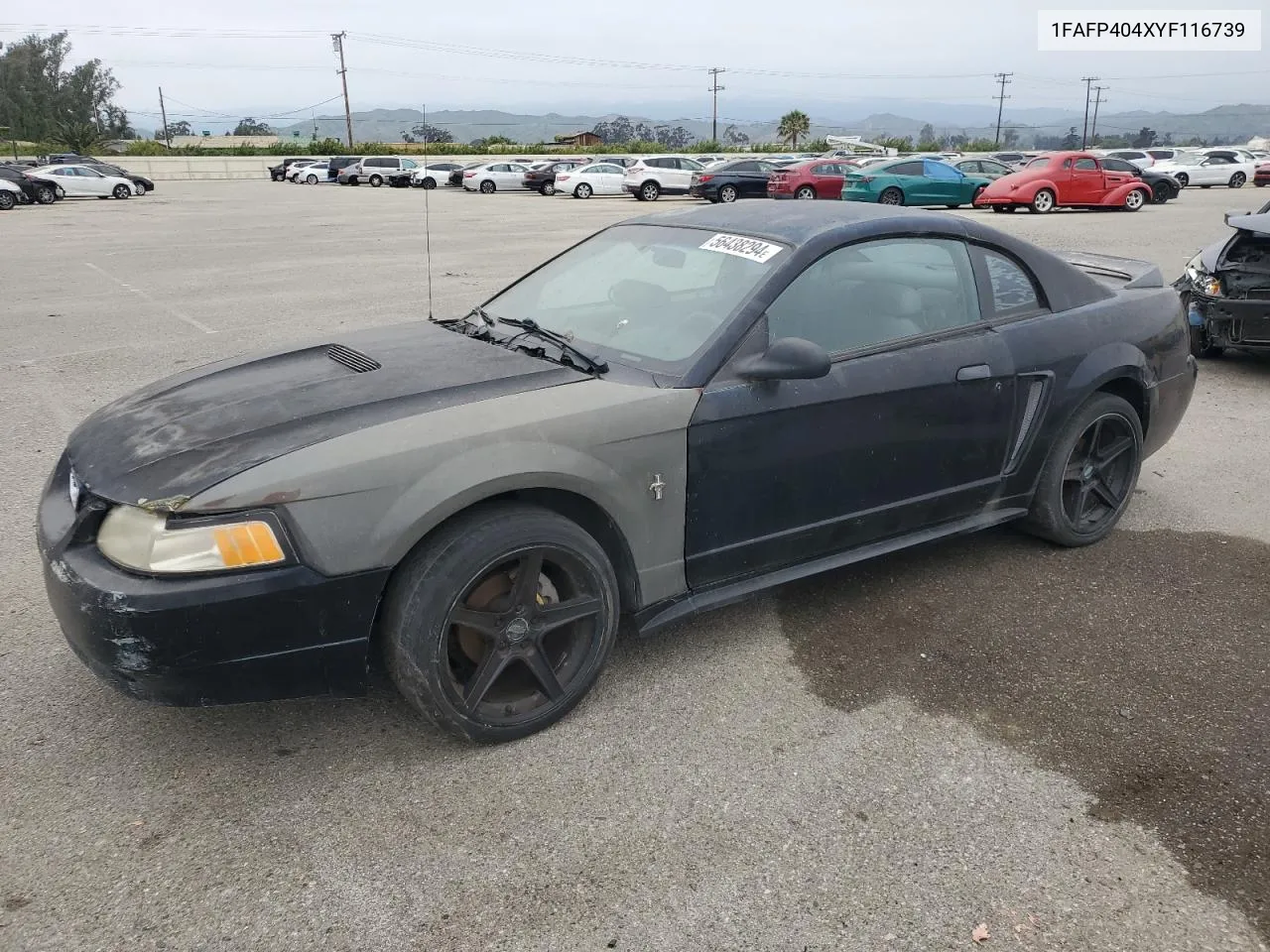 2000 Ford Mustang VIN: 1FAFP404XYF116739 Lot: 56438294