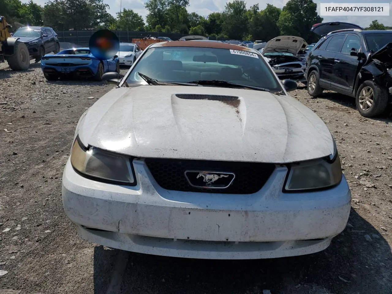 2000 Ford Mustang VIN: 1FAFP4047YF308121 Lot: 61900854