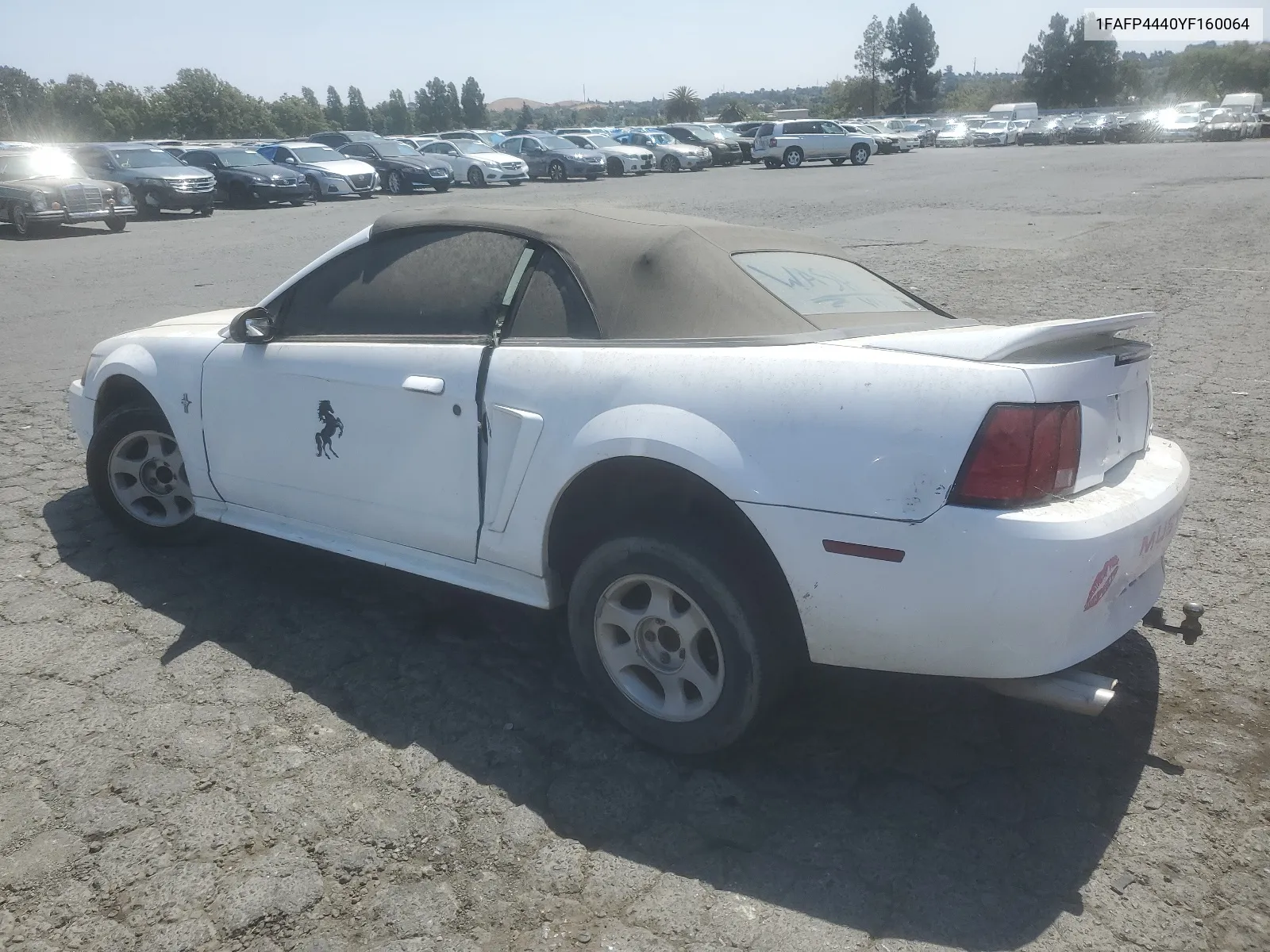 2000 Ford Mustang VIN: 1FAFP4440YF160064 Lot: 65257784