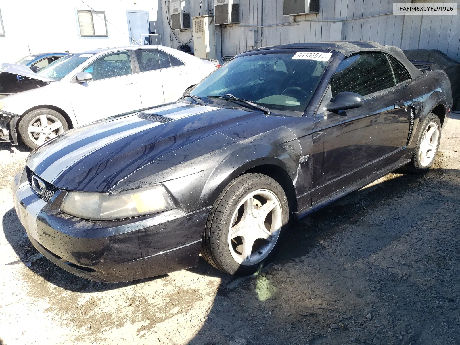 2000 Ford Mustang Gt VIN: 1FAFP45X0YF291925 Lot: 66336514