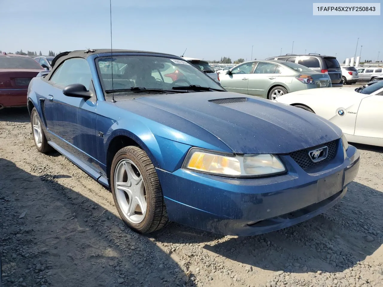 2000 Ford Mustang Gt VIN: 1FAFP45X2YF250843 Lot: 69073924