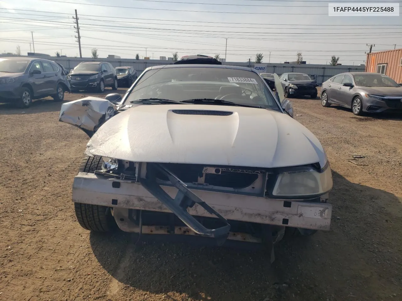 2000 Ford Mustang VIN: 1FAFP4445YF225488 Lot: 71833884