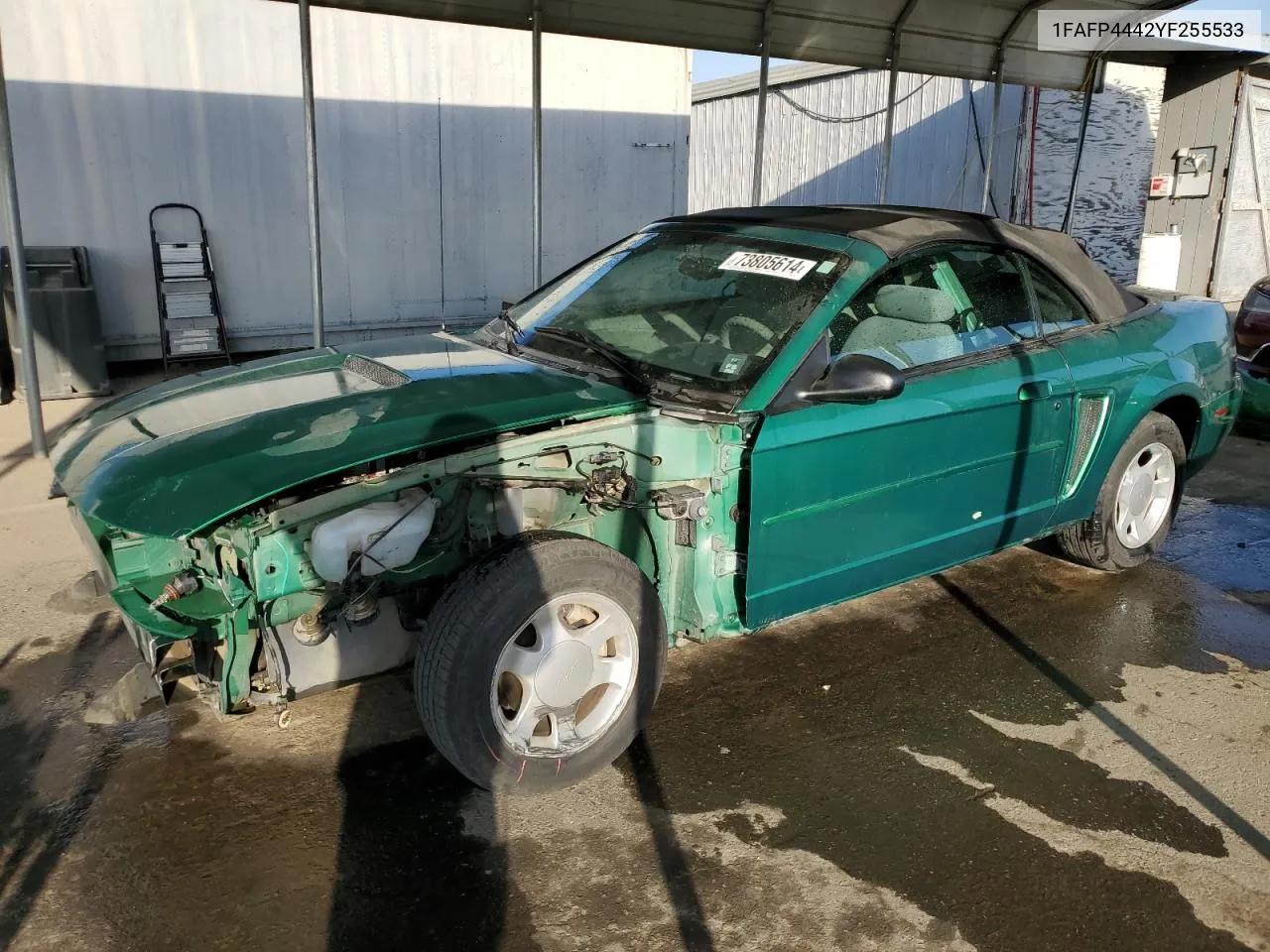 2000 Ford Mustang VIN: 1FAFP4442YF255533 Lot: 73805614