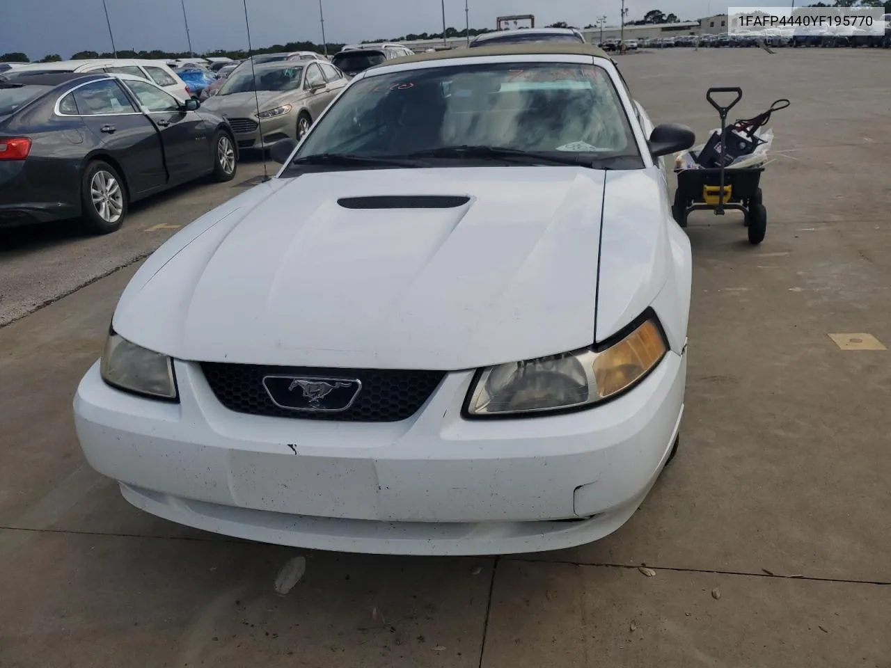 2000 Ford Mustang VIN: 1FAFP4440YF195770 Lot: 74608414